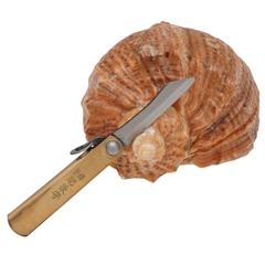 Фото Складной нож Nagao Higonokami Mame Miniature, 40мм, сталь SK-5, рукоять латунь, без чехла