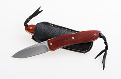 Фото Складной нож LionSteel Opera, сталь D2, рукоять Santos wood