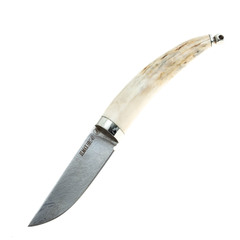 Фото Нож Тигр малютка, сталь Elmax, рог лося