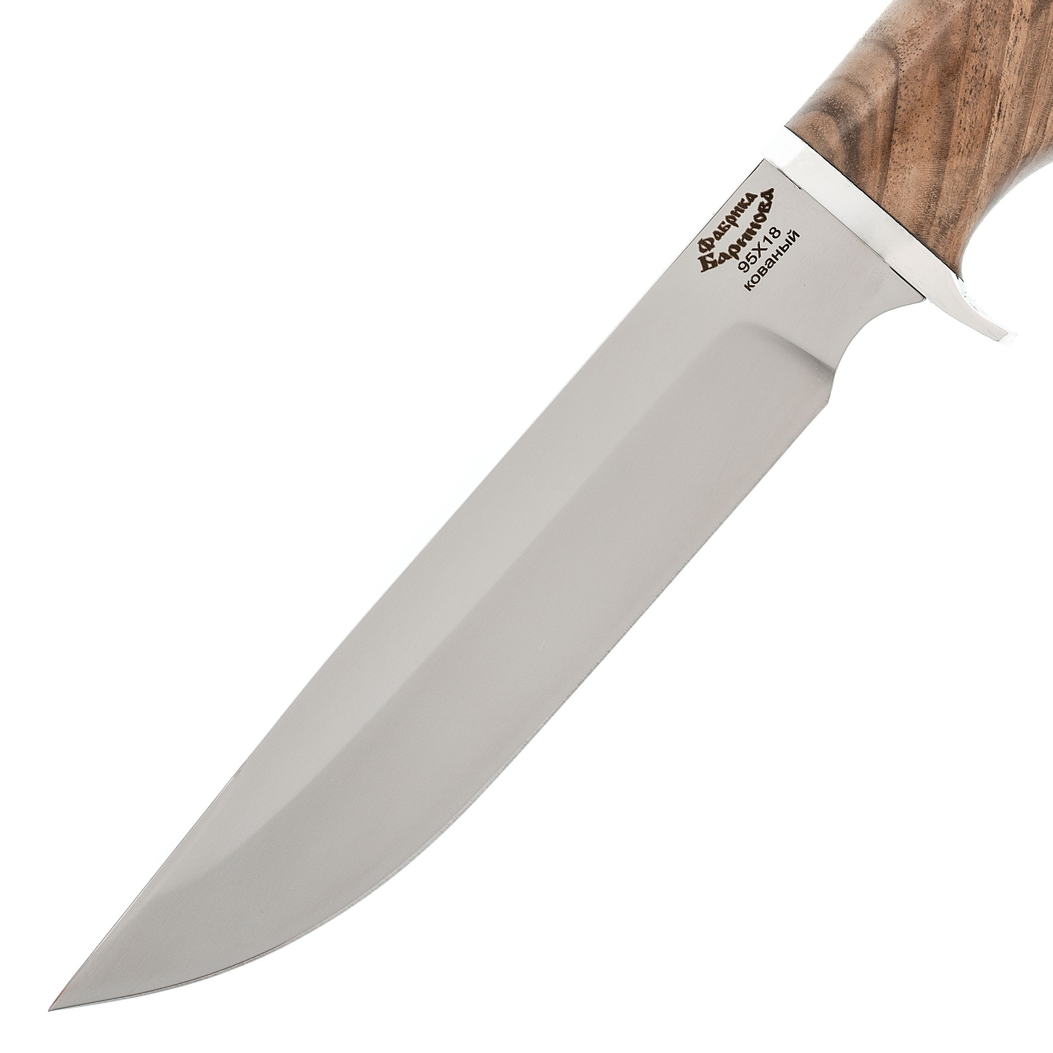 Нож Осетр , сталь 95Х18 , орех - фото 2