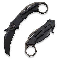 Фото Складной нож WE Knife Tayra, сталь M390, рукоять титан, черный