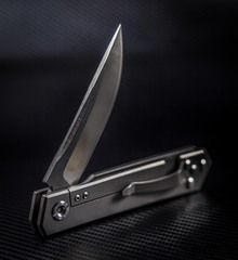 Фото Складной нож Wave, сталь D2