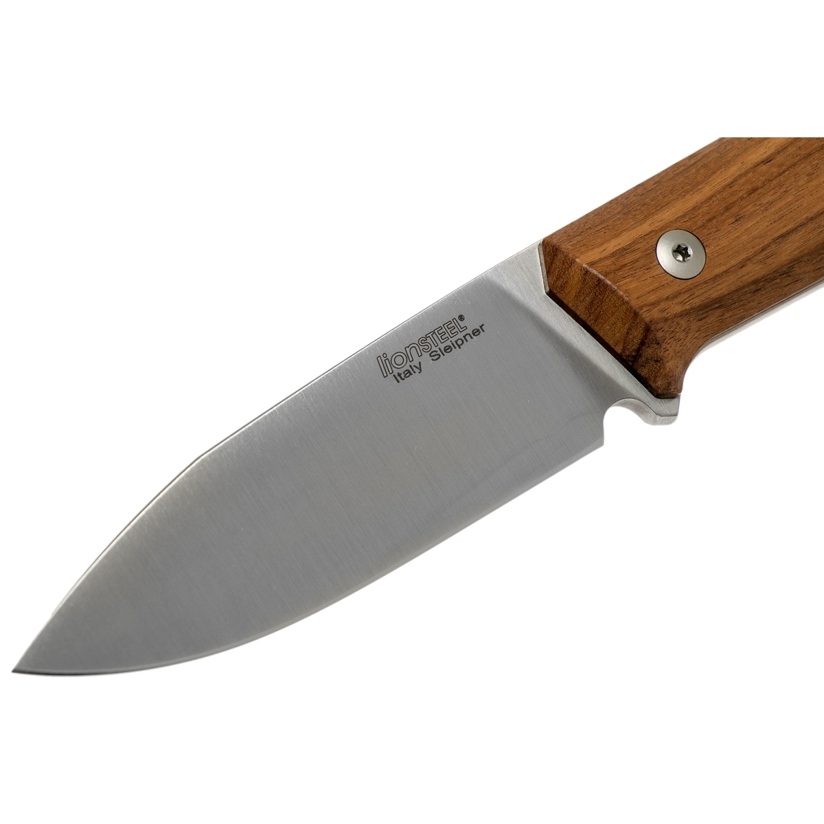 фото Нож с фиксированным клинком lionsteel b35, сталь sleipner, рукоять santos wood lion steel