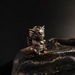 Фото Бусина Дракоша, бронза