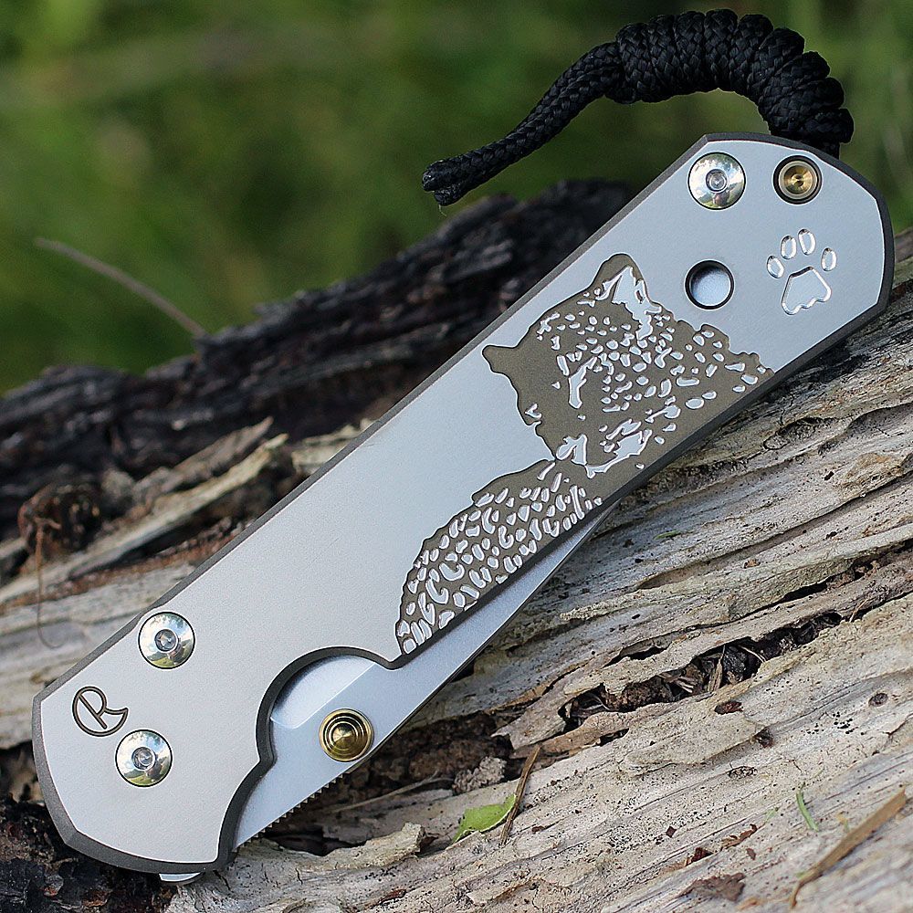 Нож складной Chris Reeve Large Sebenza 21, сталь CPM S35VN, рукоять титан с рисунком Leopard от Ножиков