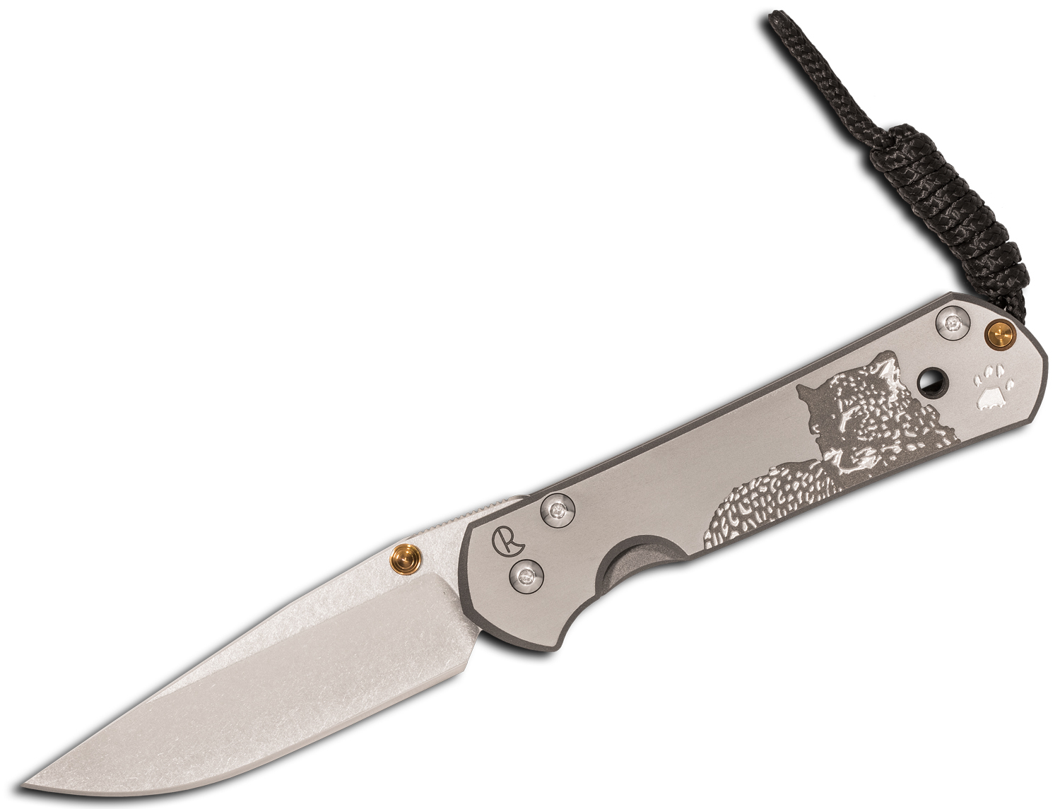 Нож складной Chris Reeve Large Sebenza 21, сталь CPM S35VN, рукоять титан с рисунком Leopard от Ножиков