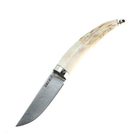 Охотничий нож ручной работы Тигр малютка, сталь Elmax, рог лося